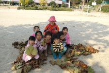 학교 소식<각종 소식<안내 마당<덕신초등학교 덕신초등학교