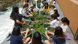 생태교육<DREAM인성갈원<갈원초등학교 갈원초등학교