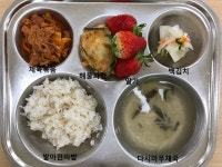 오늘의 식단<유치원소식<단양유치원 단양유치원