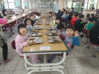 유치원앨범<병설유치원<새터초등학교 새터초등학교