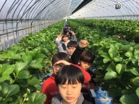 학교앨범<학교소식 ㅣ<동광초등학교 동광초등학교