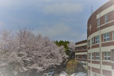 학교둘러보기<학교소개<충주성모학교 충주성모학교