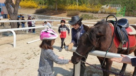 방과후 앨범<방과후학교<금가초등학교 금가초등학교