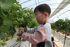 유치원앨범<유치원<서촌초등학교 서촌초등학교