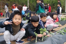 유치원 앨범<유치원<심천초등학교 심천초등학교