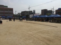 학교체육관련