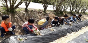 사랑반 앨범