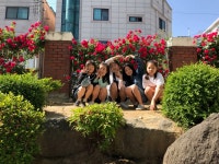 2021년도 장미축제 사진전<온라인 사진전<장미축제<칠금소식<칠금초등학교 칠금초등학교