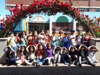 2021년도 장미축제 사진전<온라인 사진전<장미축제<칠금소식<칠금초등학교 칠금초등학교