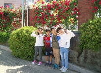 2021년도 장미축제 사진전<온라인 사진전<장미축제<칠금소식<칠금초등학교 칠금초등학교