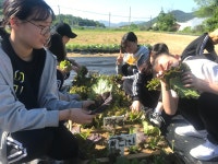 보도자료<알림마당<추풍령중학교 추풍령중학교