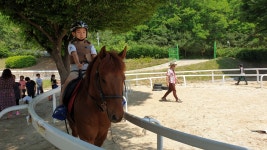 방과후 앨범<방과후학교<금가초등학교 금가초등학교