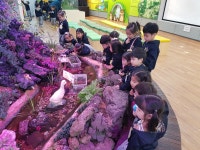 유치원앨범<진흥게시판<병설유치원<진흥초등학교 진흥초등학교