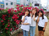 2021년도 장미축제 사진전<온라인 사진전<장미축제<칠금소식<칠금초등학교 칠금초등학교