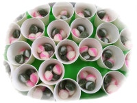 교육활동사진<남산교육활동<충주남산초등학교 충주남산초등학교