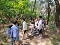 앨범<교육공동체 연구학교<참여마당<단천초등학교 단천초등학교