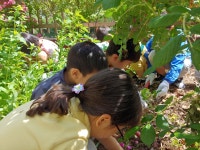 앨범<교육공동체 연구학교<참여마당<단천초등학교 단천초등학교