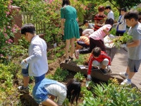 앨범<교육공동체 연구학교<참여마당<단천초등학교 단천초등학교