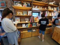 군서앨범<학교소식<군서초등학교 군서초등학교