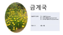 바람의 언덕<꿈자람숲<학생마당<감물초등학교 감물초등학교