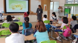학교앨범