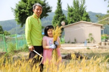 세중앨범<소식마당<세중초등학교 세중초등학교