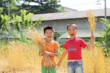 세중앨범<소식마당<세중초등학교 세중초등학교