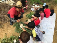 소수앨범<소수알림마당<소수초등학교 소수초등학교