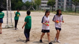 학교앨범<사직소식<사직초등학교 사직초등학교