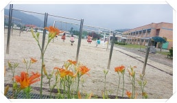 교육앨범<교육활동앨범<세성소식<세성초등학교 세성초등학교