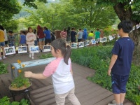 앨범<교육공동체 연구학교<참여마당<단천초등학교 단천초등학교