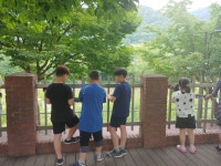 앨범<교육공동체 연구학교<참여마당<단천초등학교 단천초등학교