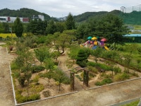 정원놀이교육.커피숲.아쿠아워시전주점 | 행복숲정원앨범<행복정원<행정초등학교 행정초등학교