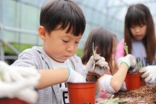 세중앨범<소식마당<세중초등학교 세중초등학교