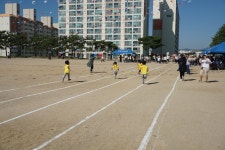유치원앨범<신백병설유치원<신백초등학교 신백초등학교