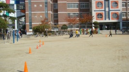 꿈꾸래앨범<교육활동<분평초등학교 분평초등학교
