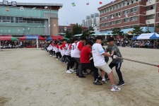 사진<학교행사갤러리<칠금소식<칠금초등학교 칠금초등학교