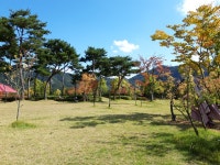 어상천초등학교 에코그린프로젝트<함께행복한교육<어상천초등학교 어상천초등학교