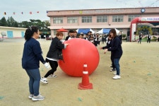 교육활동앨범<금구소식<금구초등학교 금구초등학교