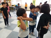 1~2학년 박학<운영과제 2 (싹틔우기)<역량강화교육 시범학교<백운특색교육<백운초등학교 백운초등학교