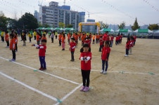 학교앨범<사직소식<사직초등학교 사직초등학교