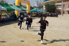 학교앨범