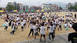 학교앨범<알림마당<삼양초등학교 삼양초등학교
