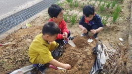 유치원 채송화반
