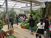 학교앨범<알림방<원평초등학교 원평초등학교