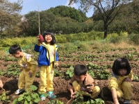 유치원 토끼반