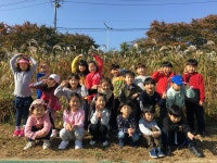 학교앨범<알림방<원평초등학교 원평초등학교