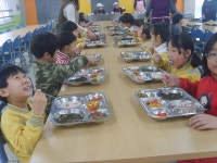 건강한 점심<영양교육<사직소식<사직초등학교 사직초등학교