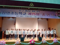 학교앨범<알림마당<삼양초등학교 삼양초등학교