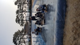 돌봄교실앨범<방과후학교<판동초등학교송죽분교장 판동초등학교송죽분교장